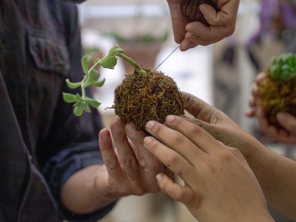  - La Botania Presents: Kokedama